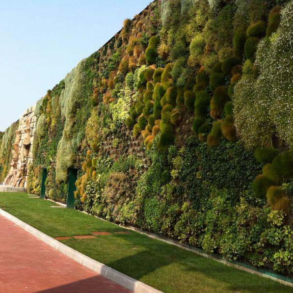  Γκαζόν & Συνθετικά Φυτά