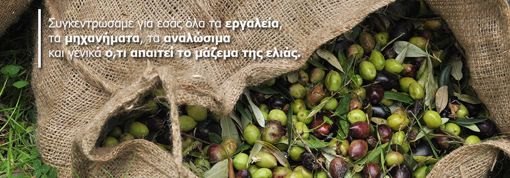 Ελαιοσυλλεκτικά