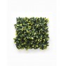 ΠΑΝΕΛ ΦΥΛΛΩΣΙΑΣ BERLIN 50x50 A017 PHOTINIA NewPlan