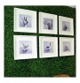 ΠΑΝΕΛ ΦΥΛΛΩΣΙΑΣ BERLIN 50x50cm A146 BOXWOOD NewPlan