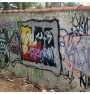 ΚΑΘΑΡΙΣΤΙΚΟ ΣΥΝΘΗΜΑΤΩΝ DUROSTICK D-19 GRAFFITI REMOVER