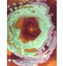 ΧΡΩΜΑ ΚΙΜΩΛΙΑΣ FLEUR CHALKY LOOK TITANIUM WHITE F01