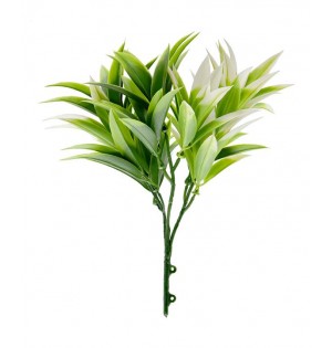 ΔΙΑΚΟΣΜΗΤΙΚΟ ΜΠΟΥΚΕΤΟ (ΣΕΤ 10ΤΜΧ) W007 PODOCARPUS NAGI NewPlan