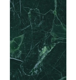 DECOWALL ΔΙΑΚΟΣΜΗΤΙΚΑ ΦΥΛΛΑ ΑΠΟΜΙΜΗΣΗΣ ΜΑΡΜΑΡΟΥ VERDE INDIA 501